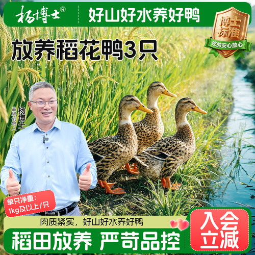 【红烧鸭推荐】杨博士稻花鸭皖南稻田放养土鸭子肉质紧实红烧食材