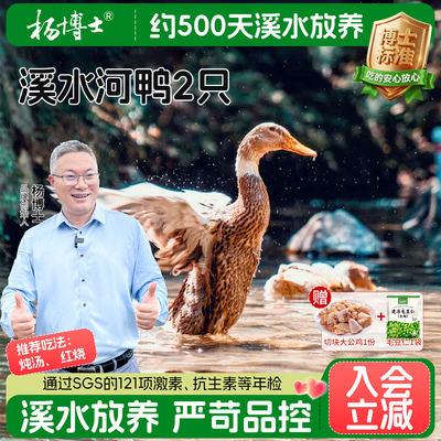 杨博士皖南农家散养老鸭