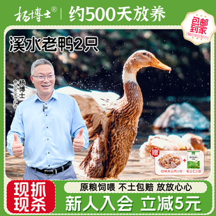 杨博士溪水放养老鸭子深山散养大公鸡切块组合炖汤炒鸡套餐食材