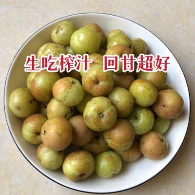 原味油甘果潮汕甜种赤皮油甘王油甘果生吃推荐天然回甘