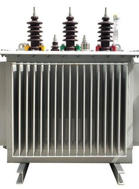 11-800035油浸式电力变压器配电站主变变压器63004000