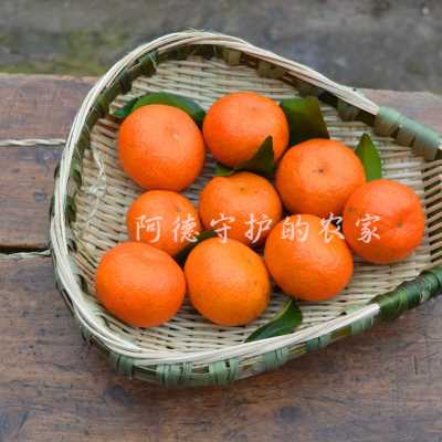筲箕簸箕竹编竹制品迷你小号纯手工竹筐篮火锅店家用沥水洗菜篮子