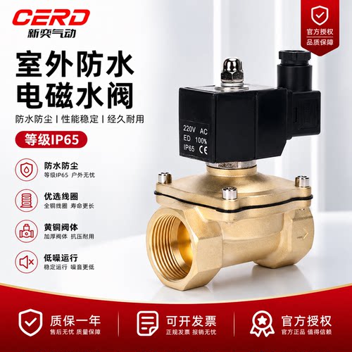 室外防水全铜电磁阀水阀AC220V常闭进放水管控制阀开关24V 4分6分