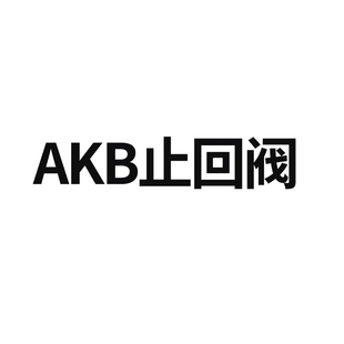 真空单向阀气动止回阀AKB01B 01S空气04B 04单项03B 03接头02B