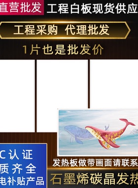 白板石墨烯碳晶墙暖壁挂式取暖器家用速热暖气片工程电热板发热板