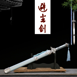 避尘剑随便剑龙泉市不锈钢刀剑儿童礼品镇宅装饰防身冷兵器未开刃