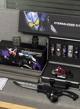 CSM1.5迷失国改假面骑仕W驱动器套装DX腰带永恒颅骨T2王牌记忆体