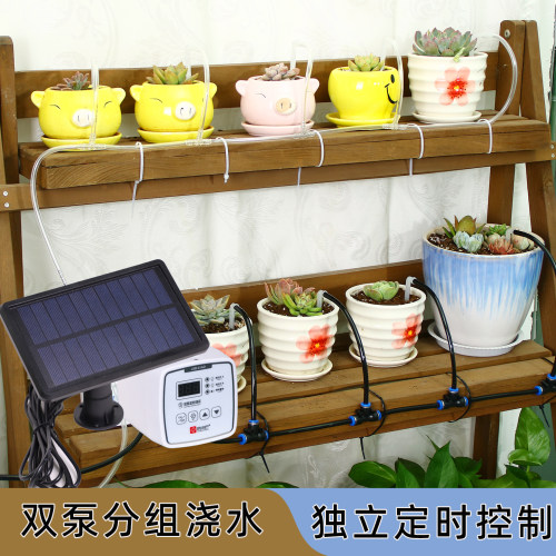 京小巴太阳能双泵定时自动滴灌器