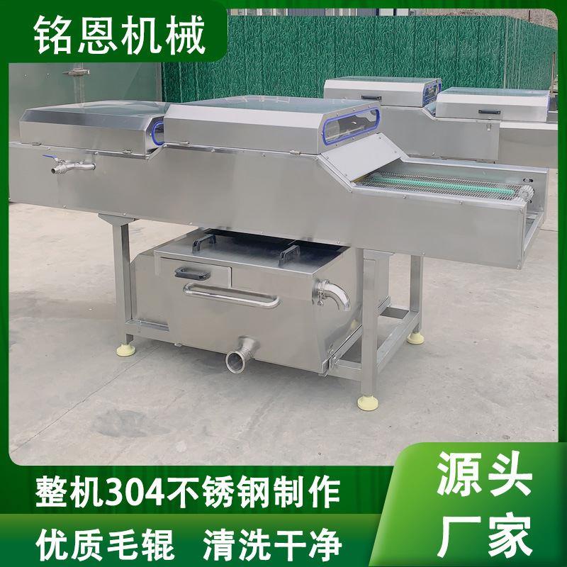 洗粽叶机器商用芦苇叶清洗设备毛刷自动去杂清洗机洗叶子设备