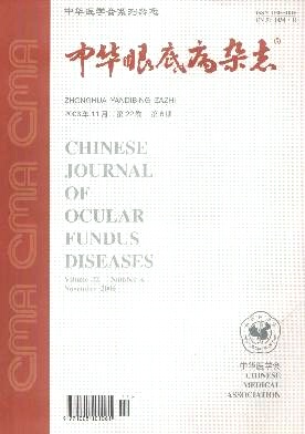 【2023年现货】中华眼底病杂志（全年12期）邮发号：62-73