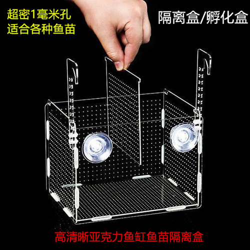 鱼缸隔离盒亚克力鱼苗孵