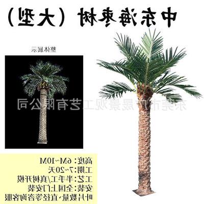仿真棕榈树户外绿色装饰沙滩景区游乐园绿化造景工程假户外装饰