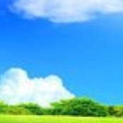 这是一家感情店素材12345