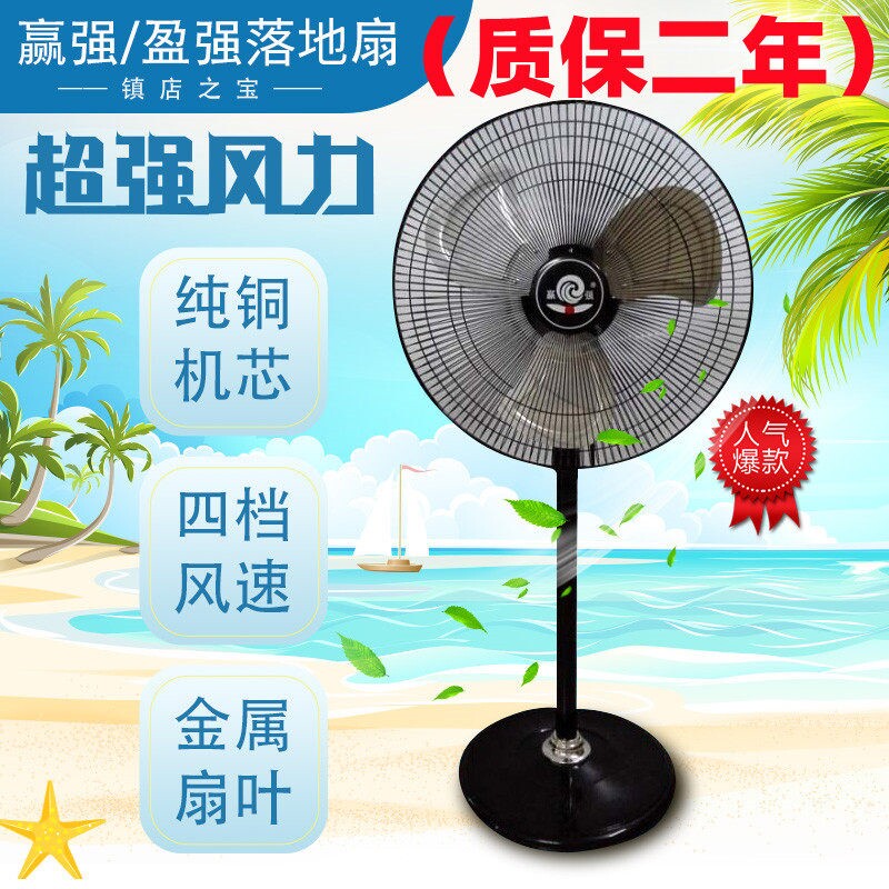赢强盈强落地扇电风扇家用商用强