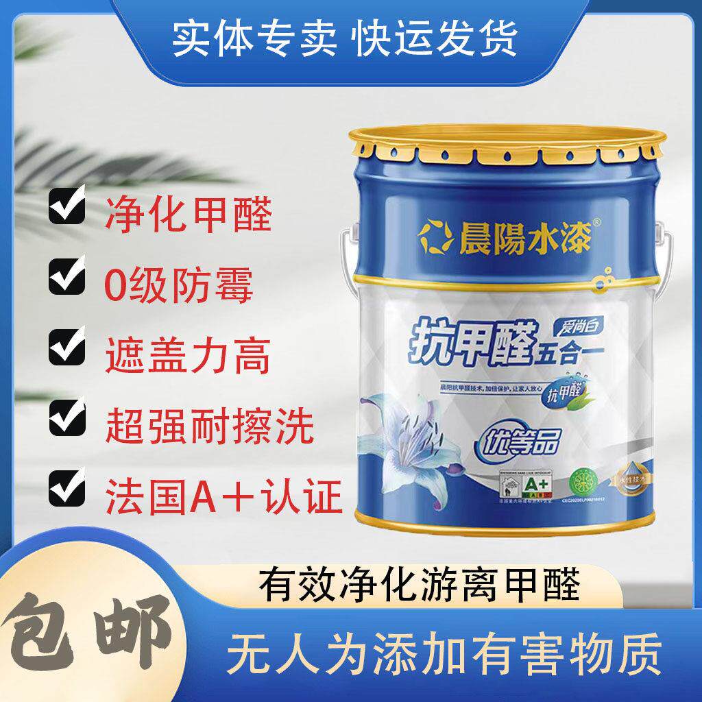 晨阳水漆爱上白抗甲醛五合一18L内墙涂料室内自刷面漆乳胶漆包邮