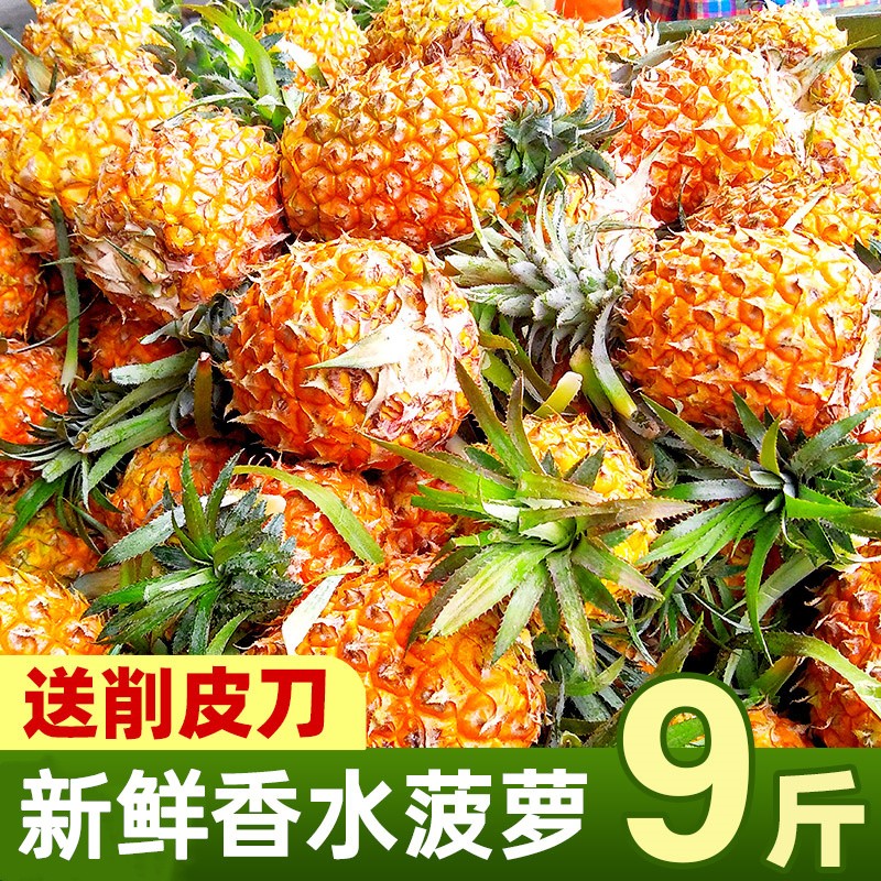 徐闻香水菠萝新鲜菠萝10斤手撕菠萝脆甜多汁孕妇当季水果波罗整箱