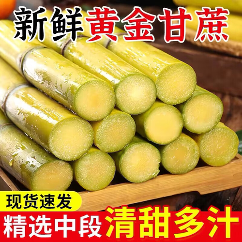 正宗广西黄金甘蔗脆甜中段黄皮甘蔗当季新鲜时令水果整箱甘蔗水果