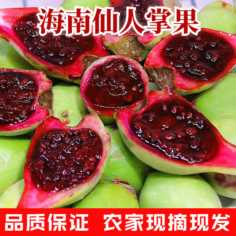 海南仙人掌果新鲜仙人掌整箱5斤泡水补充花青素水果青皮仙掌果实