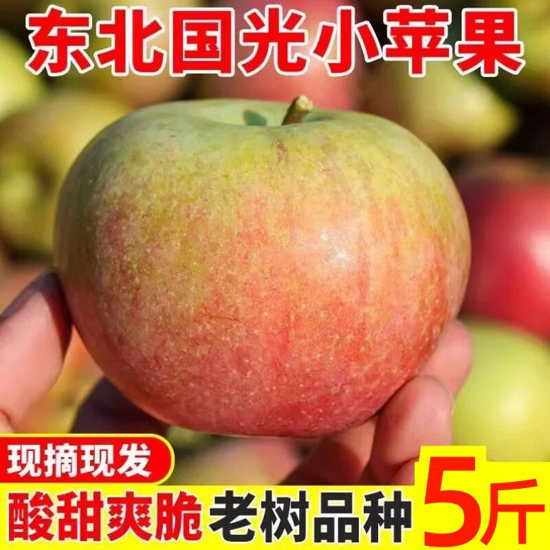正宗东北国光小苹果鞍山特产五莲国光酸甜老品种笨苹果新鲜水果