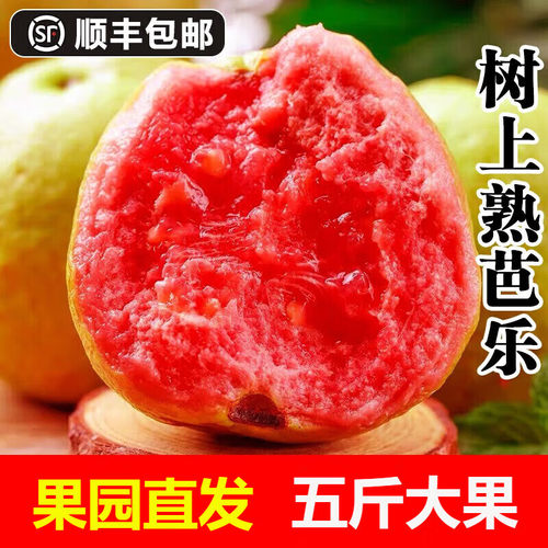广西软红心芭乐当季番石榴新鲜当季水果香软糯芭乐鸡屎果5斤顺丰