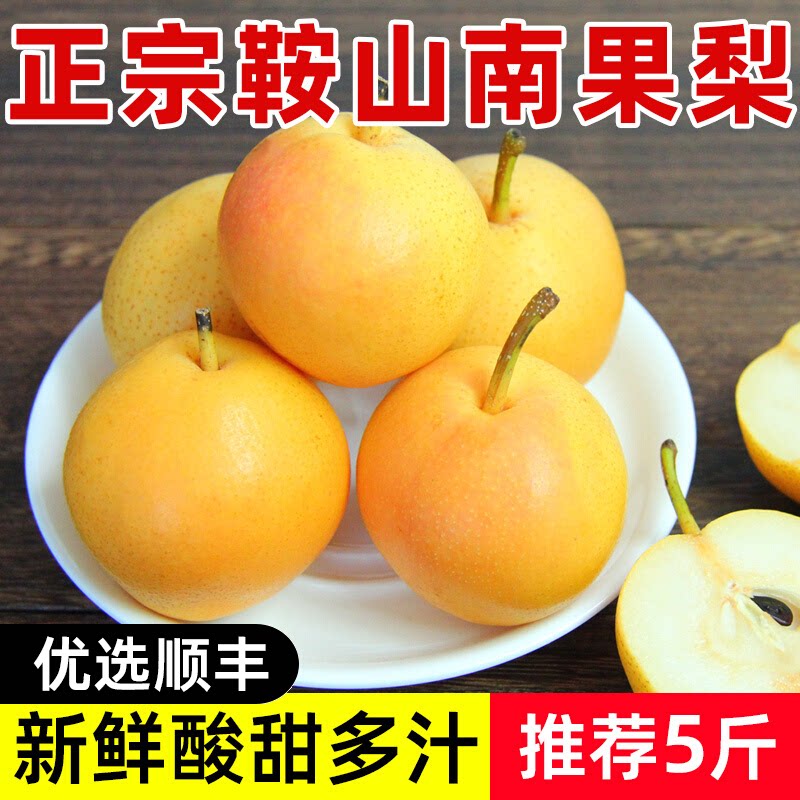 鞍山南果梨东北特产新鲜当季水果海城南国梨香水红皮冻梨孕妇水果