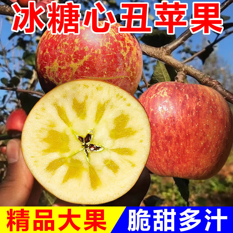 正宗陕西高山冰糖心丑苹果新鲜应季红富士苹果昭通盐源丑平果整箱
