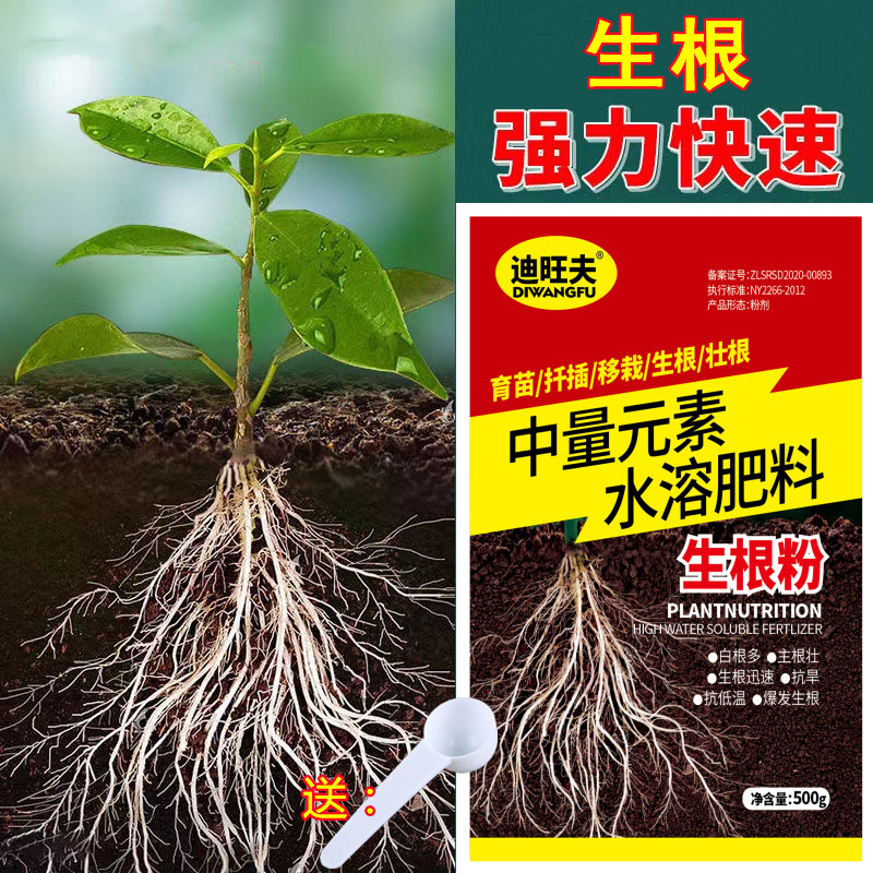 快速生根粉植物通用生根剂扦插用树木快速强力生根粉发根剂生根液