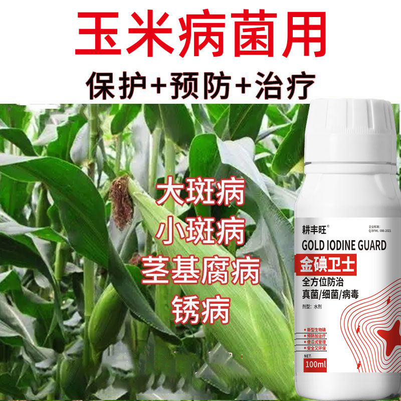 玉米病全治玉米杀菌剂玉米叶斑病锈病纹枯病灰斑病黑穗病粗缩病