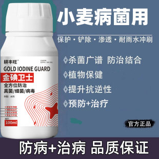 小麦病全治小麦杀菌剂纹枯病白粉病锈病赤霉病全蚀病根腐病黑穗病
