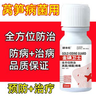 莴笋专用药莴笋病全治霜霉灰霉软腐病根腐茎腐褐斑菌核莴苣杀菌剂
