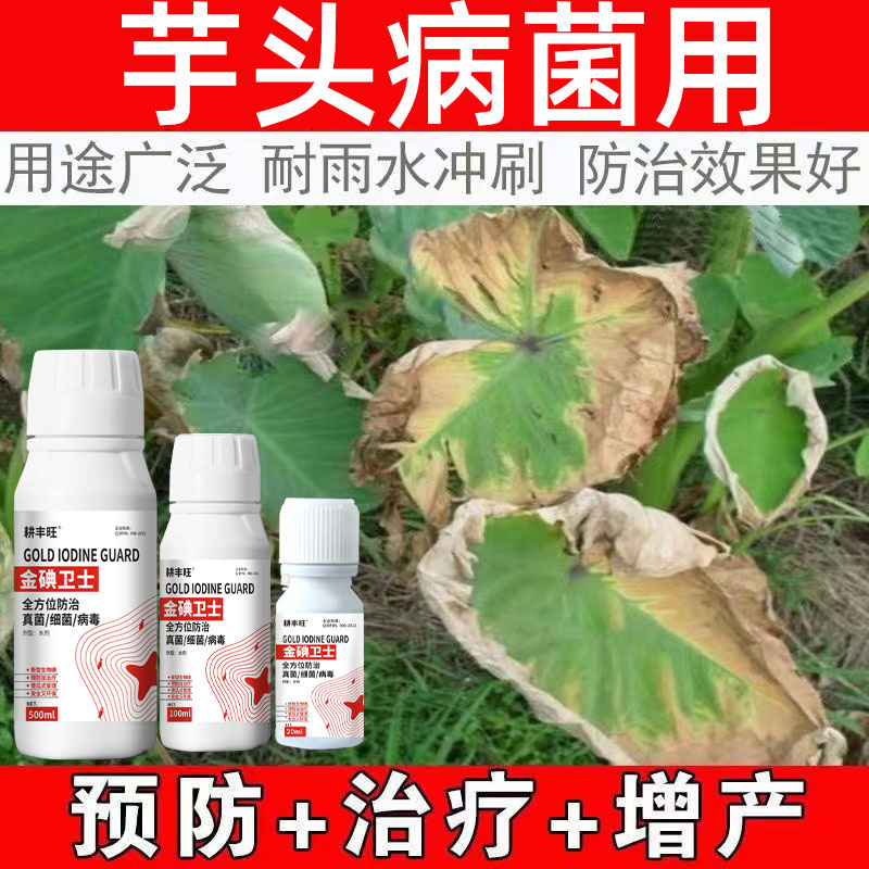 芋头病全管芋头杀菌剂枯萎灰斑疫病污斑病炭疽软腐叶枯病病毒病