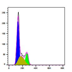 细胞周期 凋亡 modifit  ROS活性氧 JC-1 CBA 细菌死活数据分析