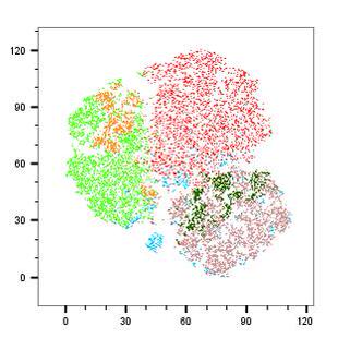 流式实验上机一对一全程指导