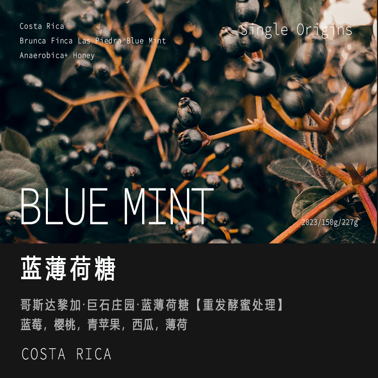 巨石庄园蓝薄荷糖手冲单品黑咖啡