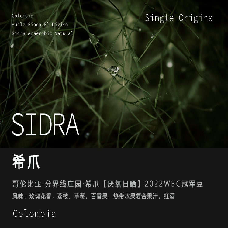 分界线庄园希爪厌氧日晒手冲咖啡