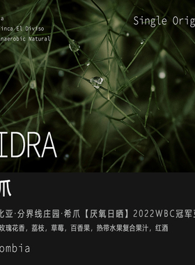 哥伦比亚分界线庄园希爪Sidra厌氧日晒咖啡豆WBC冠军豆 手冲单品