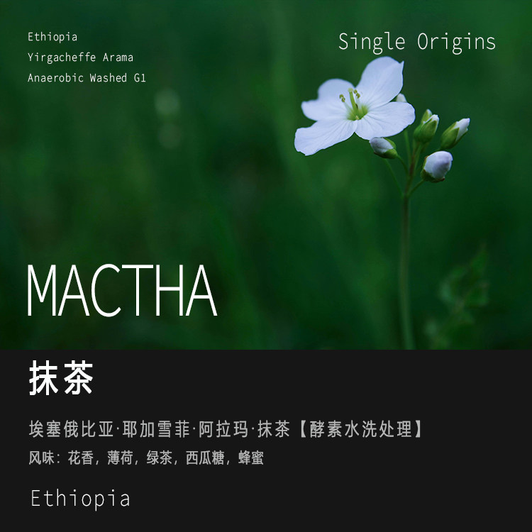 埃塞耶加雪啡抹茶手冲单品咖啡豆