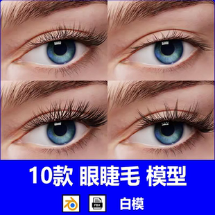 C4D写实眼睫毛fbx格式模型blender逼真风格化毛发建模3D设计素材