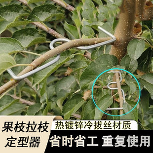 M型果树拉枝器压枝定型器梨树拿弯器别枝拉直压弯开角苹果樱桃树