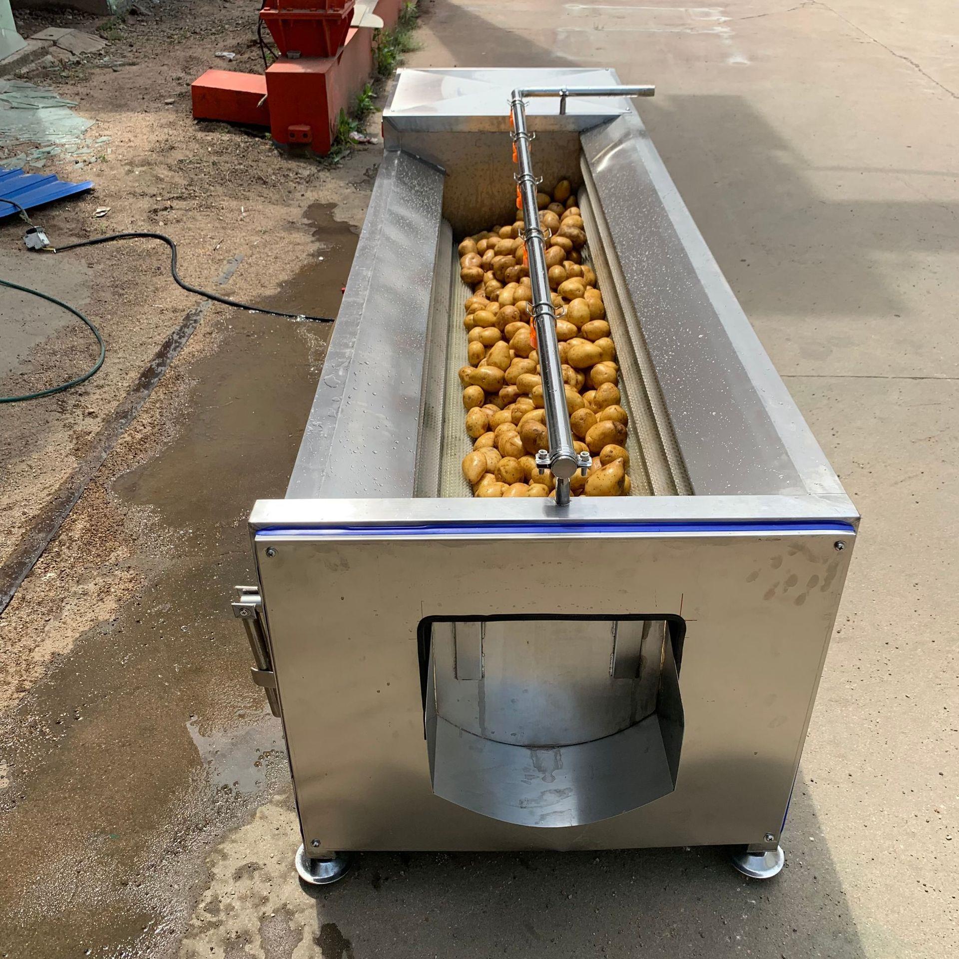 不锈钢茯苓毛辊去皮清洗机净菜加工地瓜洗皮机姜根清洗设备