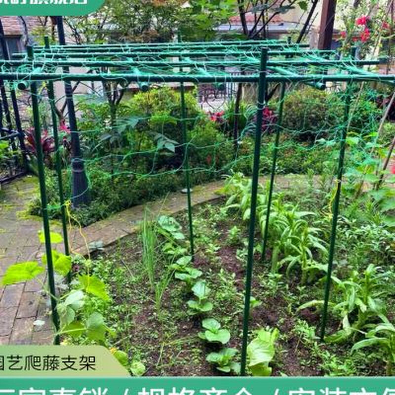 葡萄攀爬支撑架黄瓜架庭院阳台种菜爬藤架网豆角丝瓜户外蔬菜架子