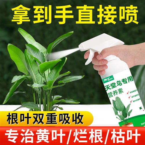 天堂鸟专用肥料营养液黄叶卷边绿植通用型盆栽室内植物花肥料家用 鲜花速递/花卉仿真/绿植园艺 家庭园艺肥料 原图主图