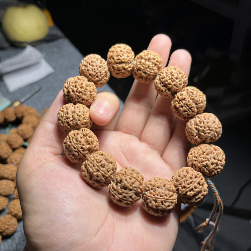 1030-原生态大金刚菩提玉骨肉丸子嘎嘎秒沉水姜黄皮铁籽下水去黄