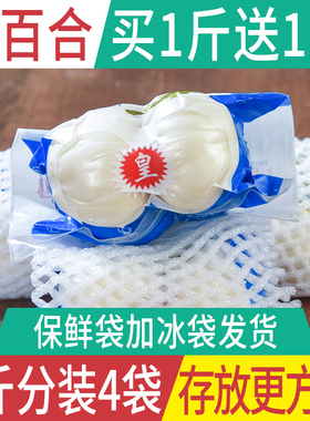 甘肃兰州百合新挖新鲜百合500g新鲜食用生甜白合非干货特产级包邮