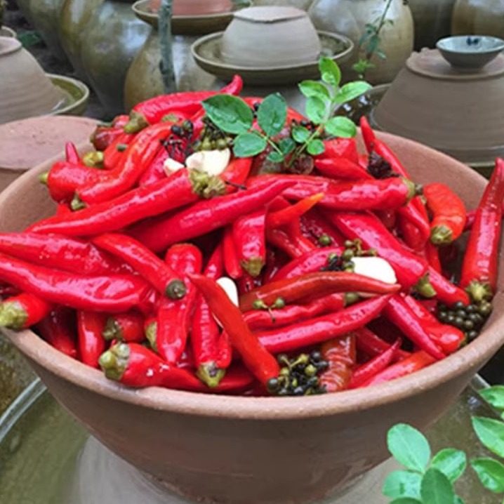 四川泡辣椒特辣微辣正宗农家土坛泡制乳酸菌发酵川菜调料,水产肉类/新鲜蔬果/熟食,腌制/榨菜/泡菜,淘宝优惠券,粉丝福利购,淘宝优惠卷