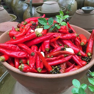 四川泡辣椒特辣微辣正宗农家土坛泡制乳酸菌发酵川菜调料