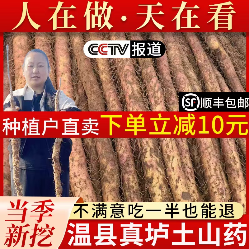 溫縣鐵棍山藥壚土懷山藥品質保證