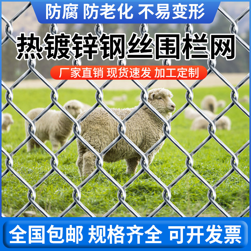 河北勾花网热镀锌钢丝网围栏
