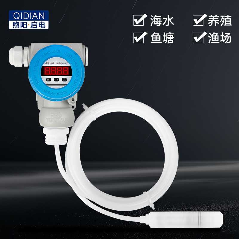 投入式四氟防腐液位变送器耐磨腐蚀高温水位计传感器rs485 4-20mA