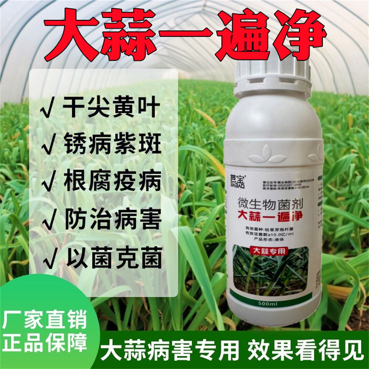 大蒜一遍净黄叶干尖叶枯紫斑白粉锈病蒜菌清大蒜病害专用生物菌剂